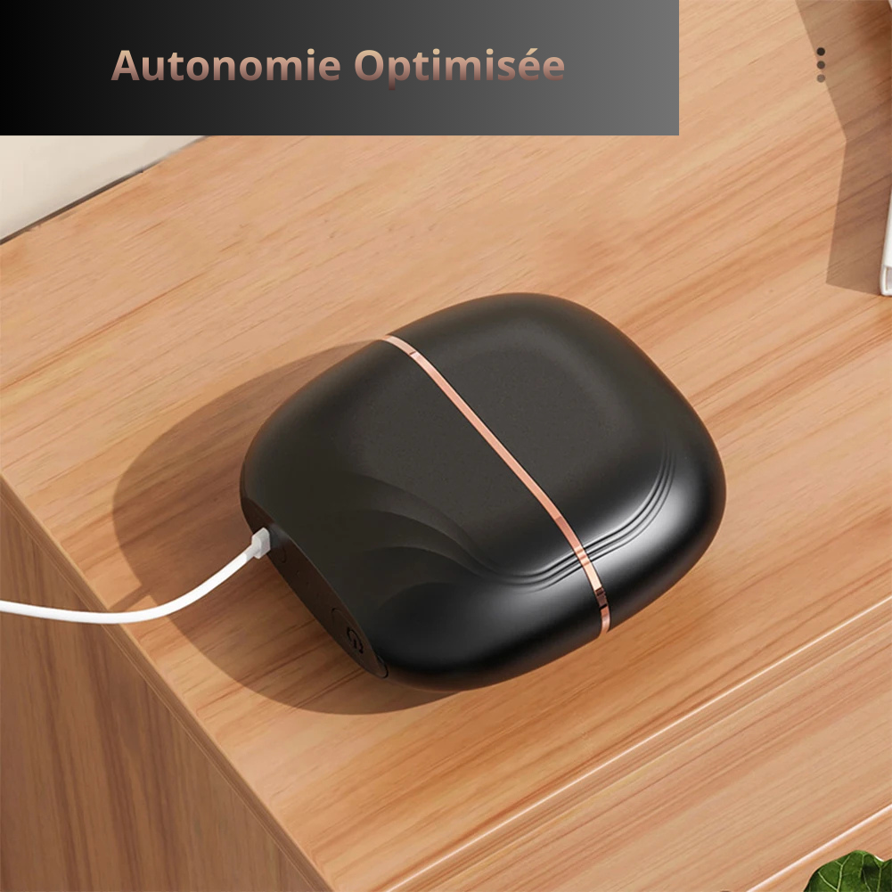 Mini Lisseur Portable